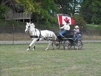 Randy Bird Equine Education