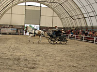 Randy Bird Equine Education