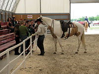 Randy Bird Equine Education