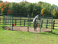 Randy Bird Equine Education