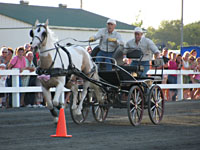 Randy Bird Equine Education